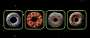 #Donot combo 2025-05-12